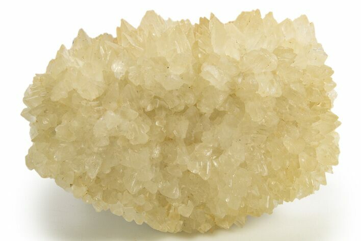 Sharp Dogtooth Calcite Crystal Cluster - Utah #323878